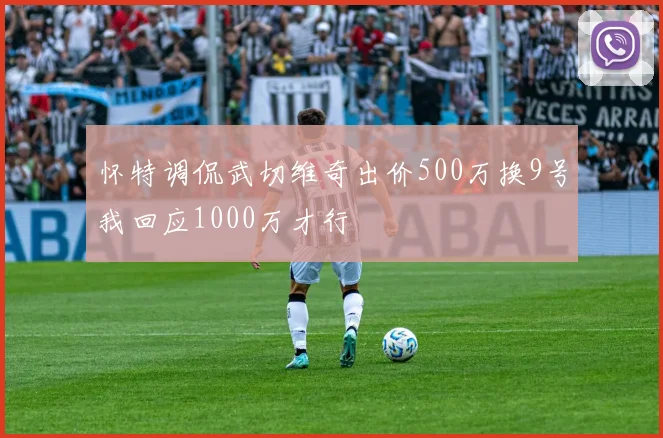 怀特调侃武切维奇出价500万换9号我回应1000万才行